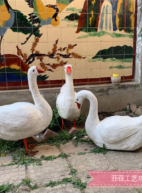 泡沫田园风影视拍摄道具装饰摆件