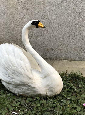 室内白天鹅摄影道具婚礼舞台摆件