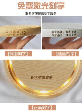 微景观永生花LED灯串暖白