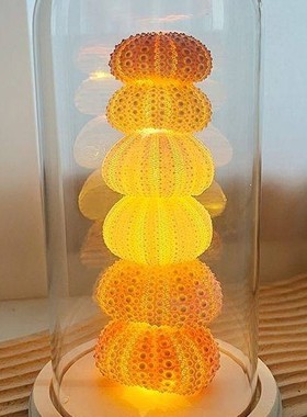 发光永生花玻璃罩带灯串工艺品摆件创意透明海胆灯小夜灯diy