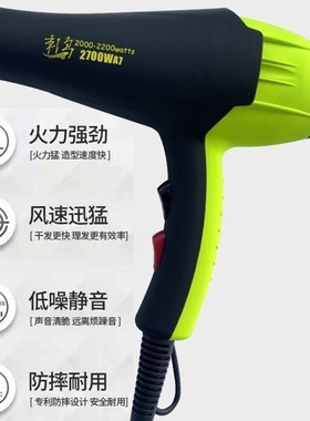 刺鸟吹风机强风速干电吹风机大功率发型师发廊专用理发店吹风机
