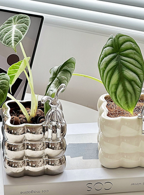 客厅白色多肉厂家直销小号四方形花卉新款水培无孔好看的摆件花盆