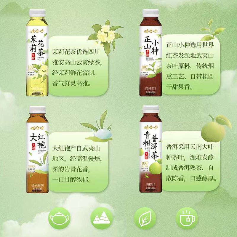 娃哈哈无糖茶饮料乌龙茶大红袍青柑普洱小种茉莉花茶500ml*15瓶 - 图0