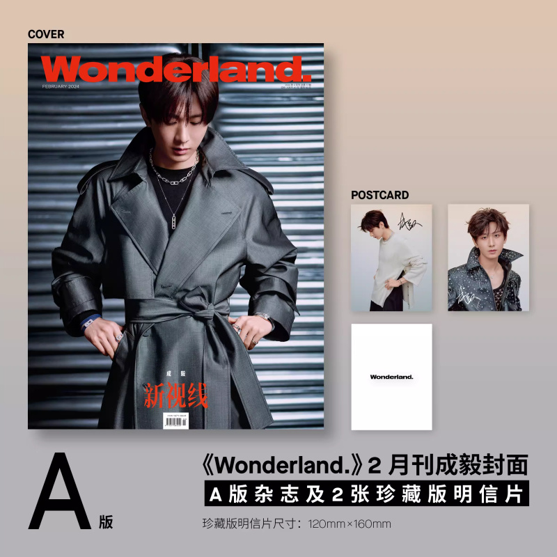 官方版 新视线2月 成毅A/B封面+赠珍藏版明信片2张   计入销量 Wonderland/睿士ELLEMEN/世界时装之苑ELLE6月杂志2024年1/2月 - 图0