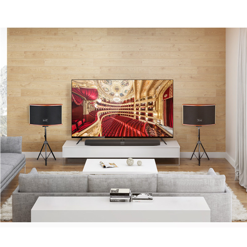 魅力沙龙m1家用ktv舞台专业音响 粤淘电器KTV/卡拉OK音箱