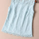 Eyelash Lace Vest Top Hollow Loose Bottoming Top