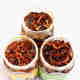 Edible mushrooms for meals in the red soil garden