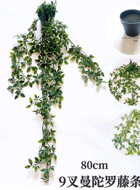 仿真花绿植办公家居客厅墙面装饰摆件冰箱顶壁垂吊曼陀罗绿植盆栽