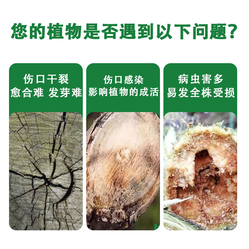 树木伤口愈合剂果树涂抹剂涂补剂修剪封口胶树皮涂膜剂嫁接愈伤膏 - 图2