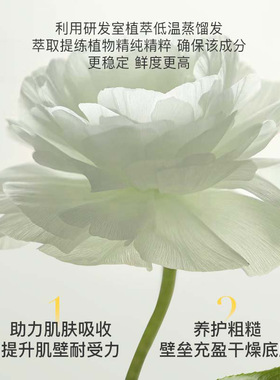 山茶花精萃油补水保湿提亮白肤色淡纹紧致提拉面部淡痘印精华油