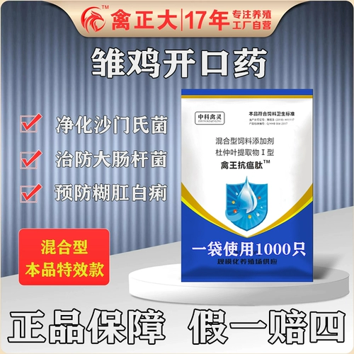 Куриная булочка курица байджи куриная курица куриная сальмонелла кокк курицы курица тяговая куриная пургически анальная курица с курицей вздутие живота вздутие живота вздутие живота