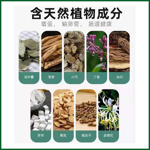 Особые эффективные яйца Шунан куриные падения и упаковывать анти -продуцирующие анальные курицы.