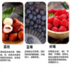 McFoodie Beef Wet Food Pack Dog Canned Blueberry Lychee Whole Box 12 Packs Teddy Golden Retriever Pet Dog Snacks