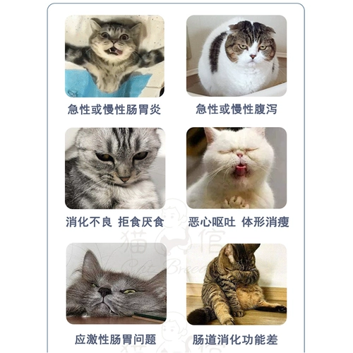 Xinyuan Development Baodi Sanxian Pet Puppies Cat Probiotic Powder, чтобы остановить диарею и рвоту, ремонтируя желудочно -кишечную часть 54G