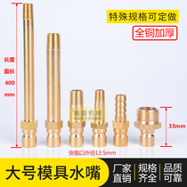 DME mould fast water nozzle large number mould copper water nozzle thickened N9 open male head model Winner American water nozzle