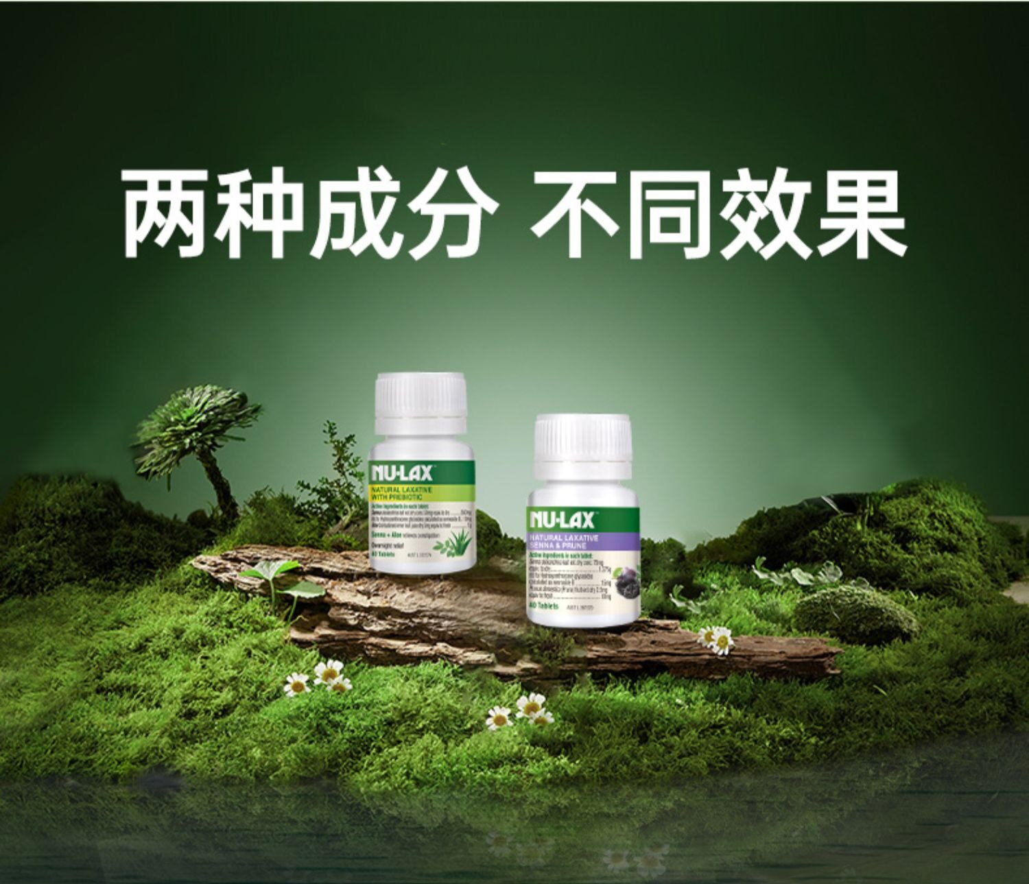 环球e站海外膳食纤维/果蔬纤维