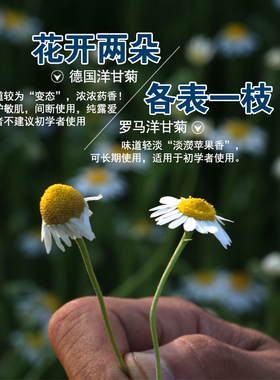 花水爽肤水敏感修护洋甘菊纯露