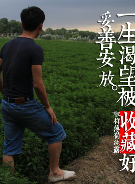 天然纯露花水饱和喷雾椒样薄荷