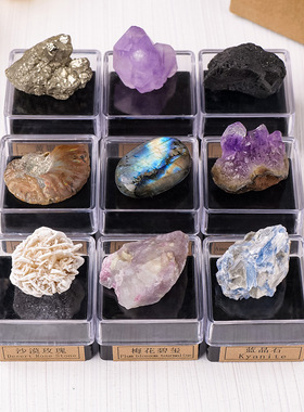 天然水晶原石矿石标本套盒水晶矿物晶体化石儿童科普教学礼物