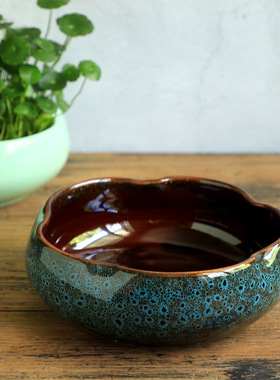 水培花盆一叶莲铜钱草金仙