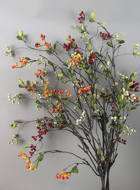 真花12头山归来浆果商场