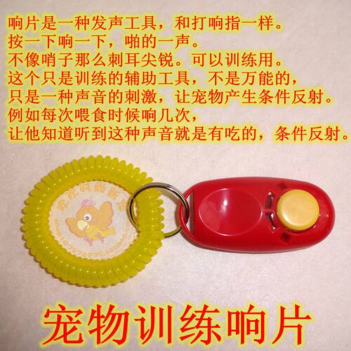 训鹦鹉训练响片宠物训练器虎皮牡丹玄风亚历训练哨子御鸟林 - 图0