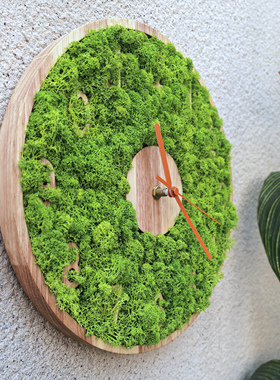 实木永生苔藓森系绿植墙创意自然