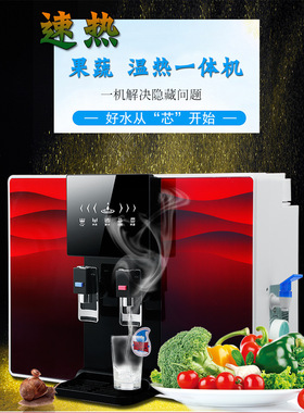 直饮ro膜温热一体机净水器反渗透