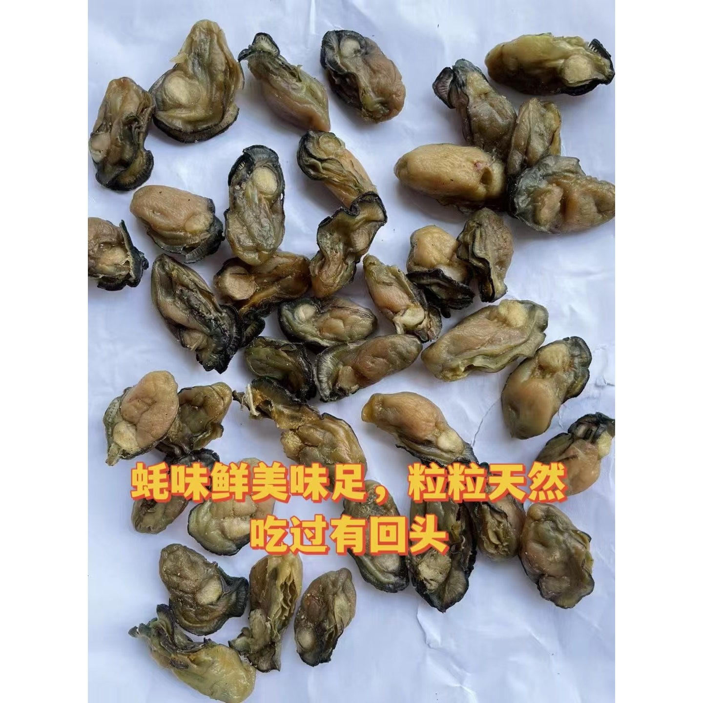 Zhanjiang Yangjiang large dried oysters, freshly sun-dried and natural without extracting oil
