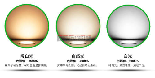 LED射插脚灯杯3W GU5.3GU10螺口led节能灯天花灯220V筒灯射灯光源 - 图2