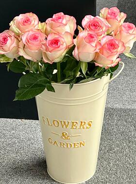 落地大花瓶醒花桶白色铁艺手提花桶圆形双耳花器家居装饰插花器皿