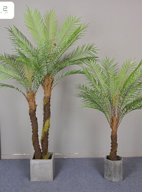 仿真富贵蕨散尾葵装饰绿植家居室内大型落地摆件植物造景富贵蕨