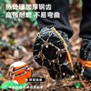 Complete set of crampons for outdoor hiking and mountaineering equipment