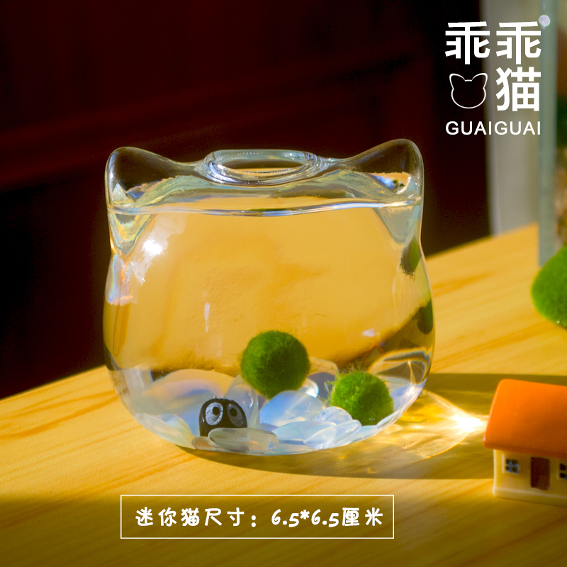 marimo幸福海藻球生态瓶水藻球马里莫水培植物玻璃瓶桌面宠物diy - 图3