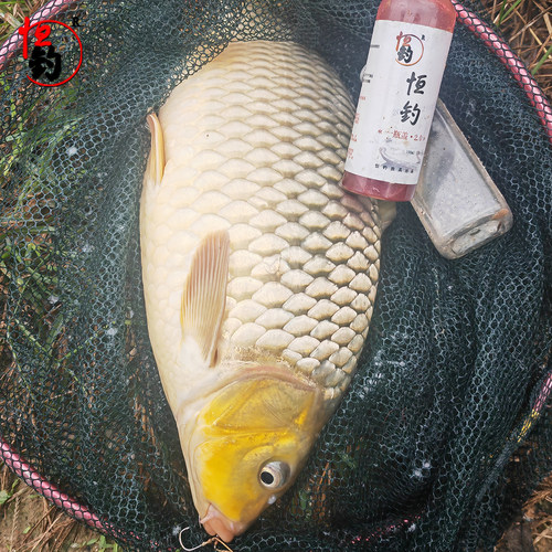 恒钓渔具恒钓鲤草钓鱼鱼饵添加剂野钓黑坑鲤鱼草鱼饲料 - 图1