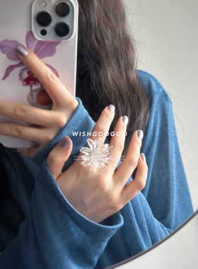 WISHGOOGOO韩国雾面花朵戒指女ins梦里花小众立体半透明食指戒