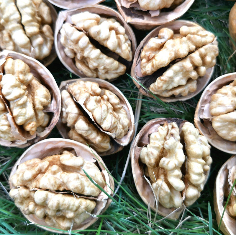 20新货新疆特产185手剥纸皮生核桃 沙漠玉珠纸皮/薄皮核桃