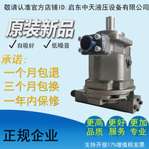 HY10 25 32 32 63 63 71 80100107125160 250Y-RP (LP) axial plunger pump