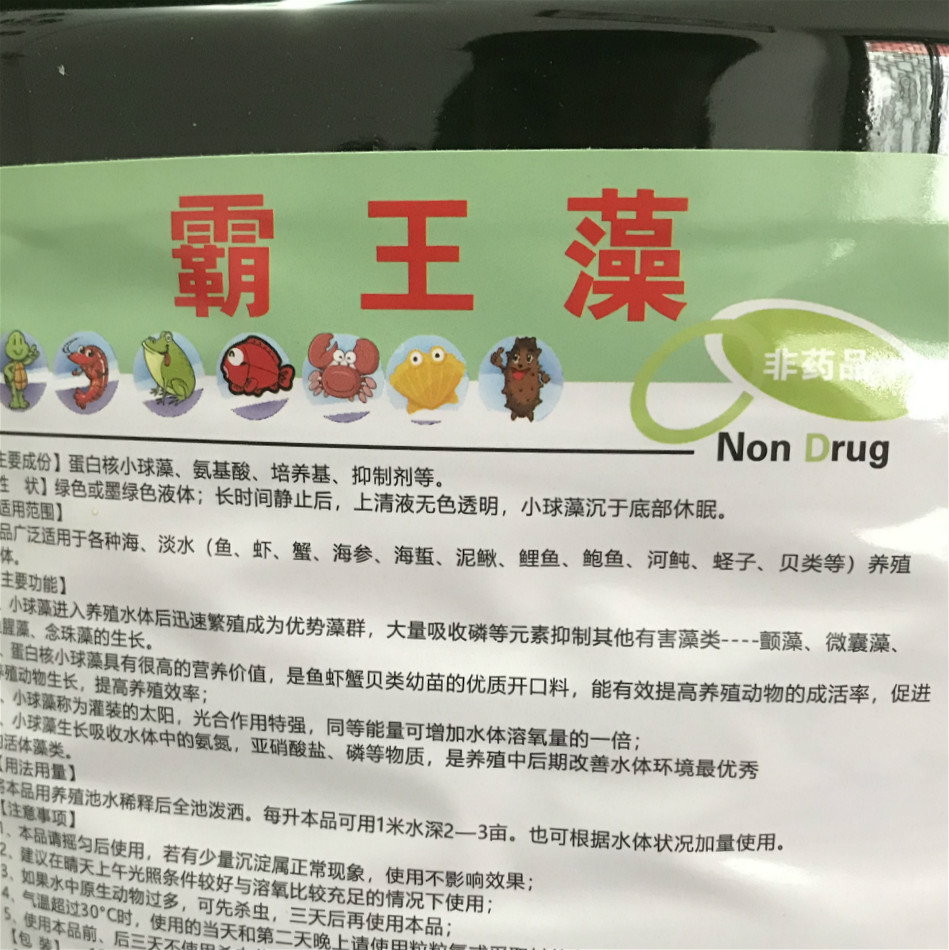 霸王藻 蛋白核小球藻 水产养殖处理蓝藻 老绿水 苗种开口饵料藻种 - 图0