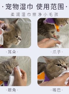雪貂宠物湿巾猫咪狗擦屁股湿纸巾