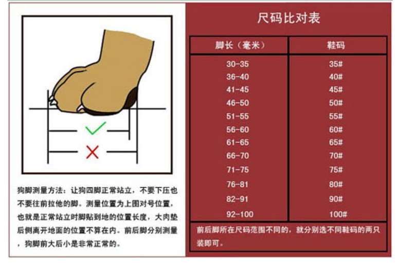 狗狗鞋透气狗鞋泰迪狗狗网面透气鞋小型犬宠物跑不掉春夏狗鞋 - 图3