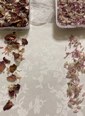 艺术垃圾手帐干花花瓣junk素材