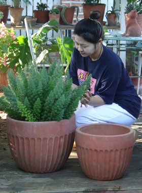 红陶花盆美式庭院大花盆