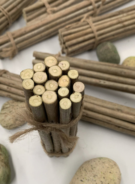 干树枝松果树干手工diy材料原木