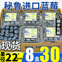 Cisrich Sparkling 8 Boxes Peru Imported Blueberry Fresh Fruit Fresh Great Fruit When Season Fruit A Blueberry Pregnant Woman