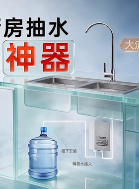 桶装水抽水泵全自动水槽龙头上水