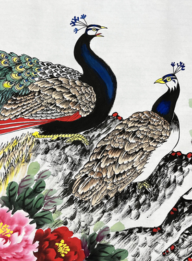 真海手绘国画横幅孔雀牡丹花鸟画富贵吉祥小六尺客厅沙发墙装饰画
