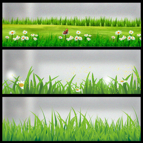 横版窗户贴膜磨砂玻璃小花小草长条形窗纸防走光透光不透明窗花贴 - 图2