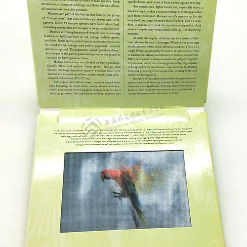 现货【外文书店】Jungle: A Photicular Book 丛林英文原版 3D光与影视觉动画 会动的书 自然百科科普书 Dan Kainen,Kathy Wollard - 图3
