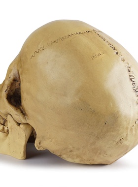 快时尚个性家居大骷髅头摆件